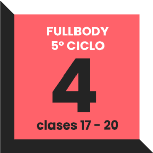 Fullbody ciclo 5