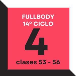 Fullbody ciclo 14