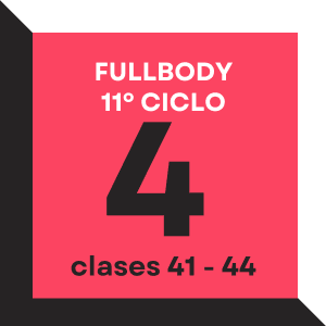 Fullbody ciclo 11