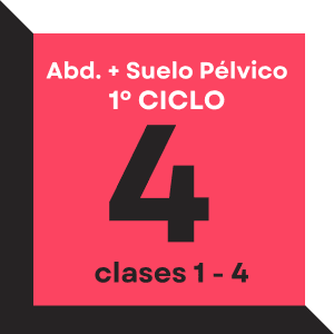 Abs. + Suelo Pélvico - Ciclo 1
