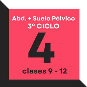 Abs. + Suelo Pélvico - Ciclo 3